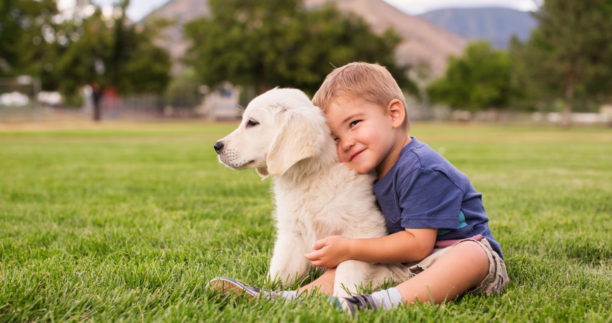 A képen egy három éves kor körüli kisfiú látható, aki megölel egy golden retriever kölyköt a kertben.