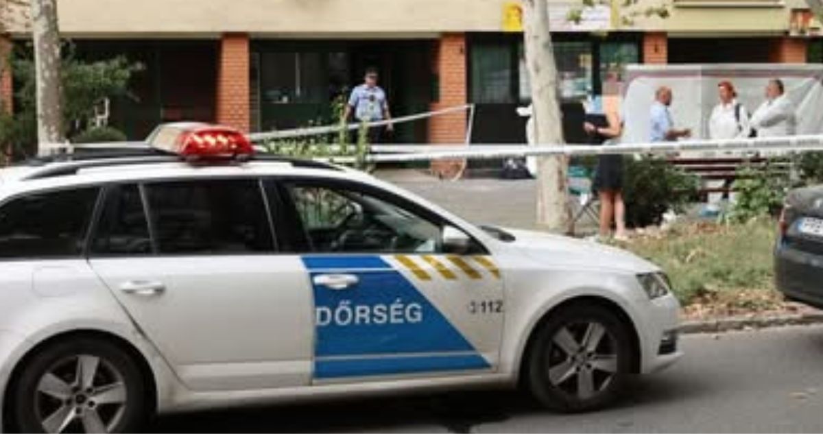 kizuhant kisgyerek - Gyerekszoba Sajnos a kisfiú nem élte túl a zuhanást (Fotó: Facebook/Délmagyar)