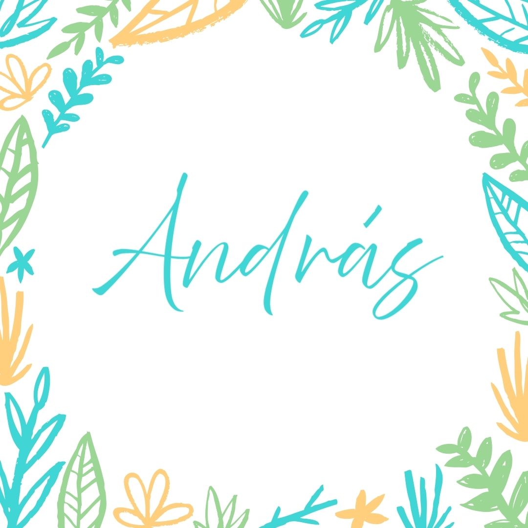 András - Gyerekszoba - Gyerekszoba