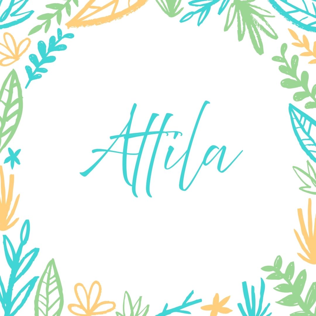 Attila - Gyerekszoba - Gyerekszoba
