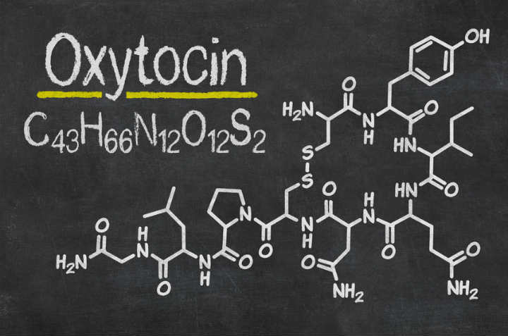 Az oxytocin 11 hatása
