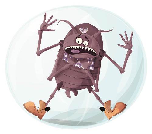 Óvoda, fejtetvek nélkül