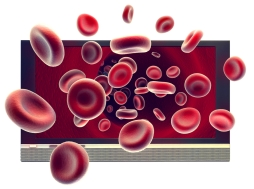 Terhess&eacute;gi szűrővizsg&aacute;lat kedvezm&eacute;nyes őssejtt&aacute;rol&aacute;ssal